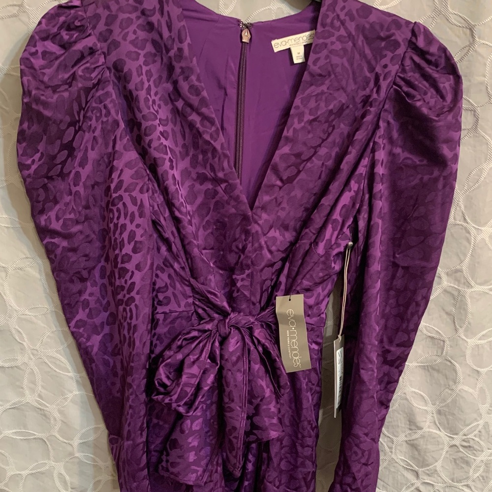 Eva Mendes Satin Dress